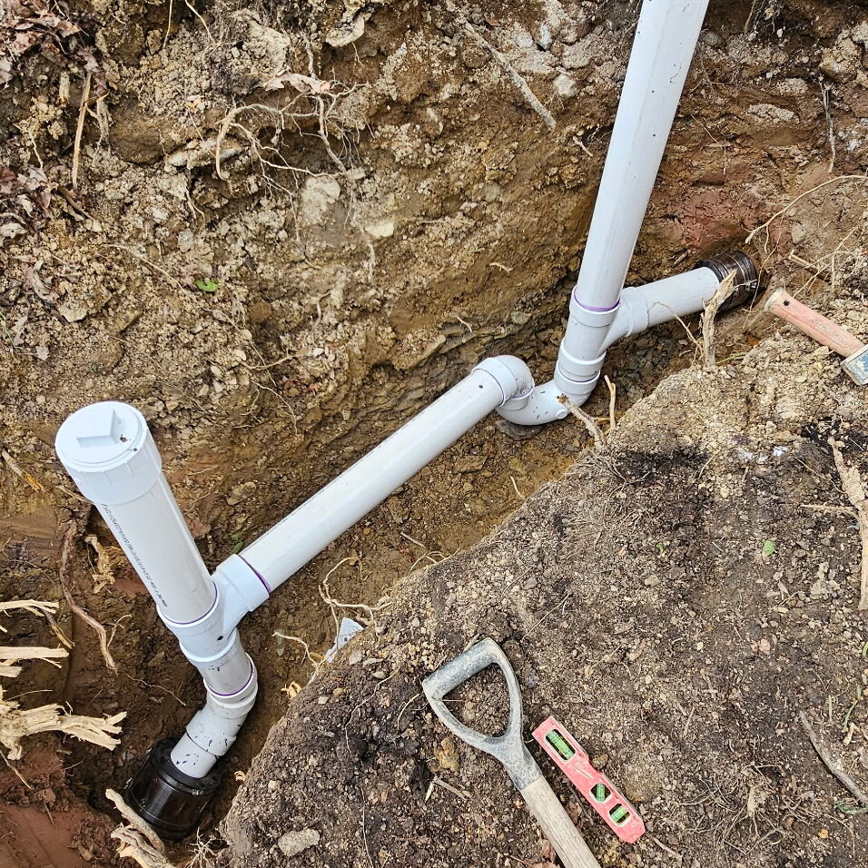 house trap replacement